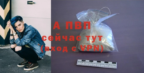 индика Белоозёрский