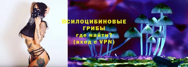 индика Белоозёрский