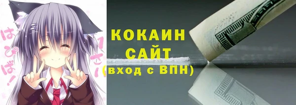 PSILOCYBIN Белокуриха