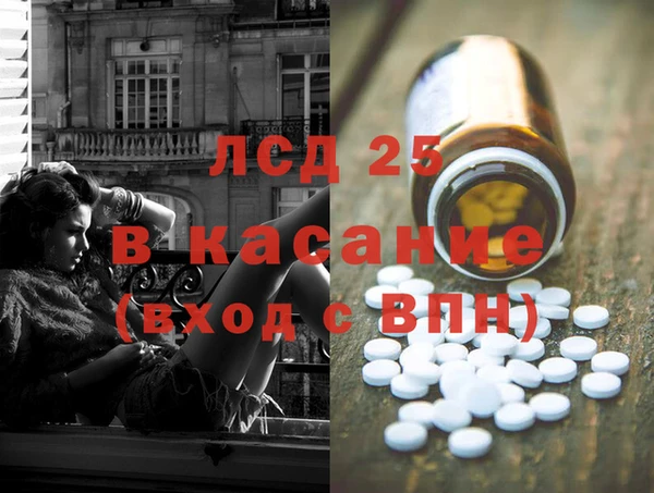 PSILOCYBIN Белокуриха