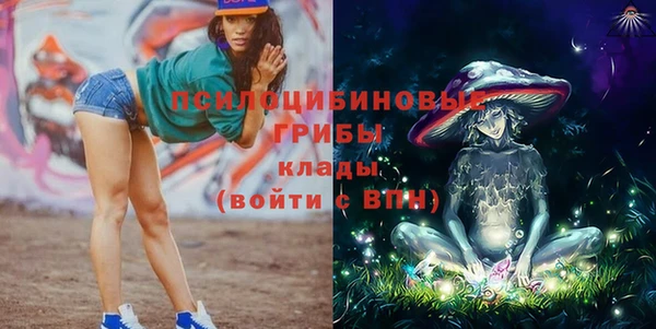 PSILOCYBIN Белокуриха