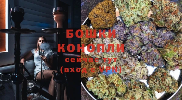 spice Рославль