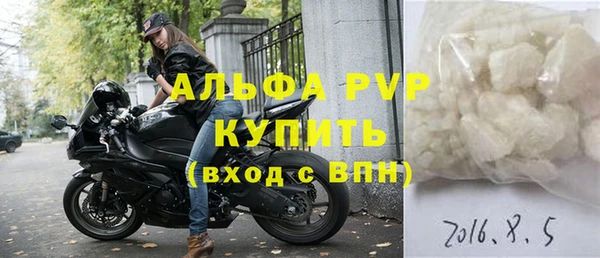 PSILOCYBIN Белокуриха