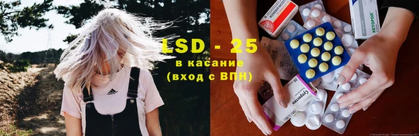 PSILOCYBIN Белокуриха