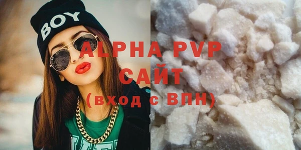 PSILOCYBIN Белокуриха